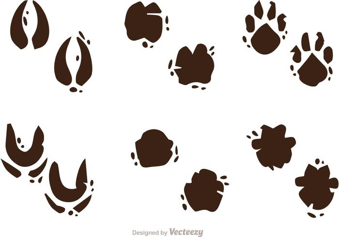 Muddy Animal Footprint Vectors