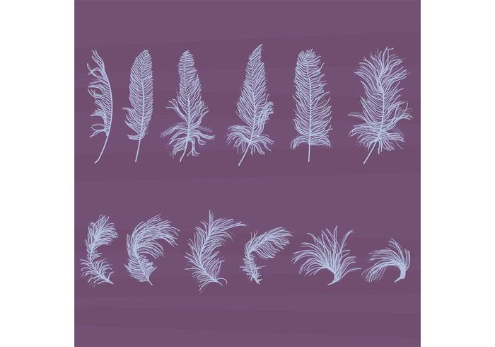 Vectores De Plumas Con textura Set