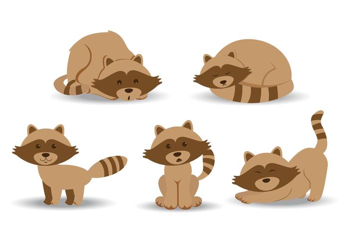 Racoon Cartoon Vectores