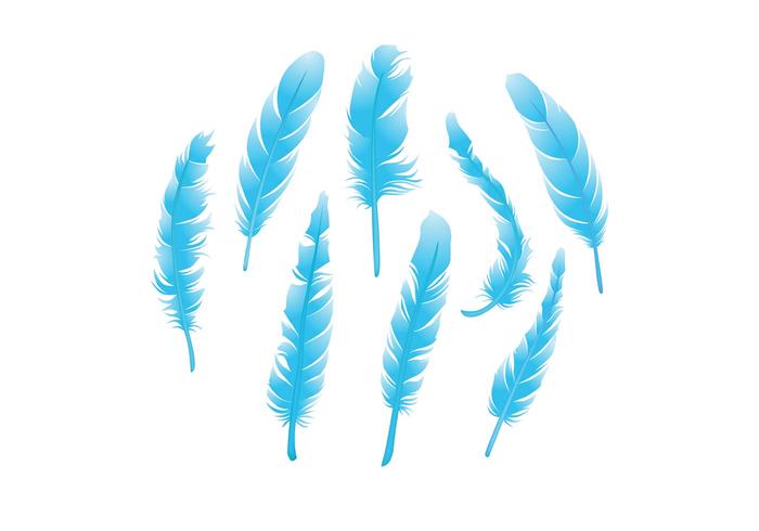 Download Feather Isolated Vector Pack - Download Free Vectors ...