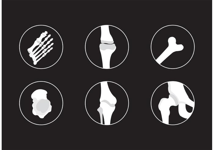 Bones and Joints Vector Icons Bones and Joints Vector Icons