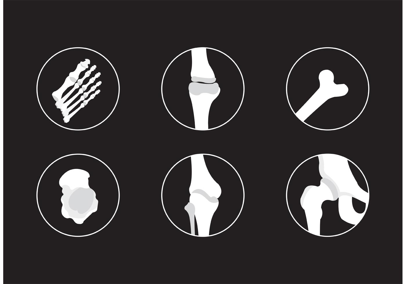 Bones and Joints Vector Icons - Download Free Vector Art, Stock