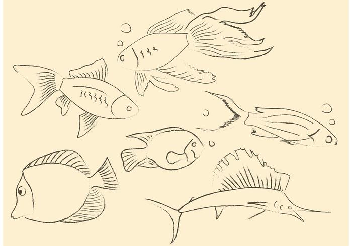 Hand Drawn Fish Vectors Hand Drawn Fish Vectors