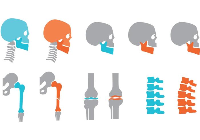 Orthopedic Bones and Joints Vectors