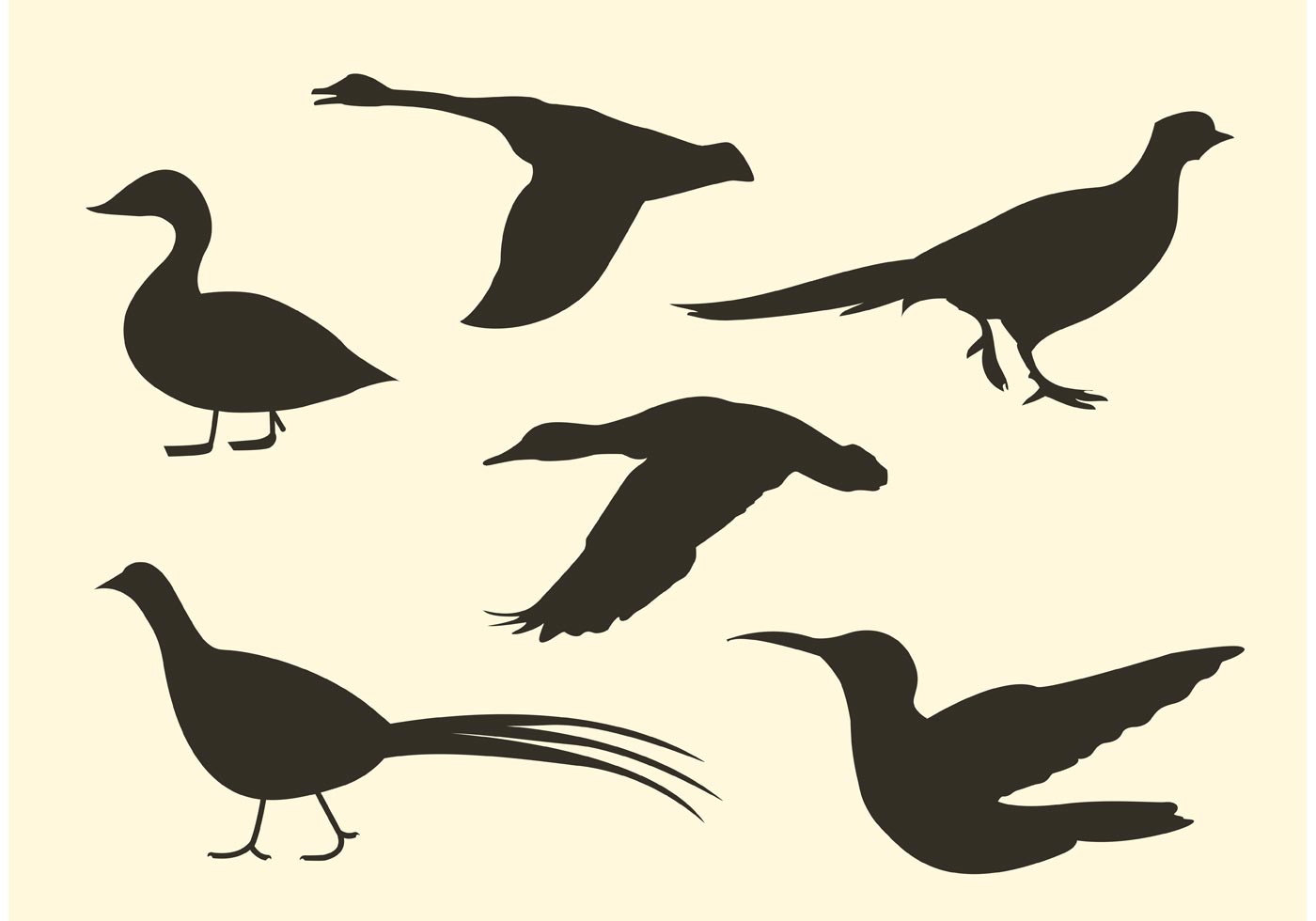 Download Free Bird Vector Silhouette Pack - Download Free Vectors ...