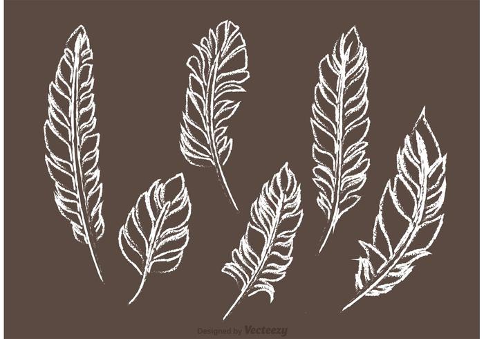 Download Chalk Drawn Feather Vector Pack - Download Free Vector Art ...