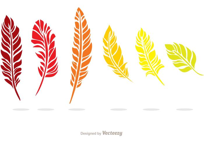 Colorful Feather Vector Pack
