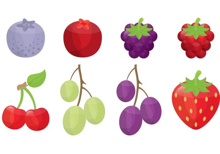 Berry and Fruit Vectors 