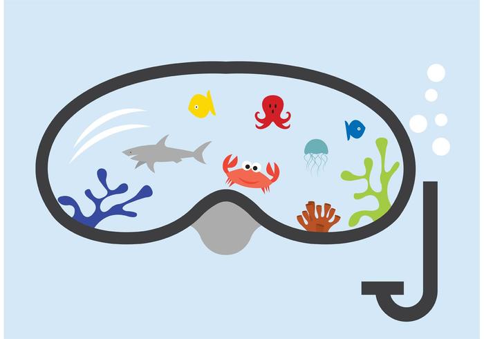 Snorkel with the Fish Snorkel with the Fish