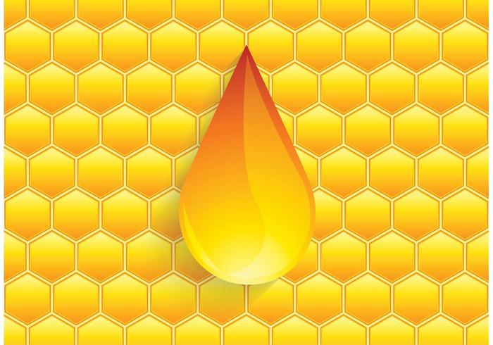 Vector Honey Drip