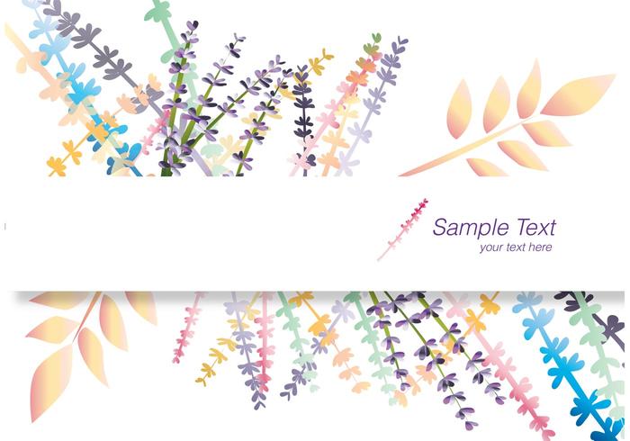 Lavender Banner Card vector