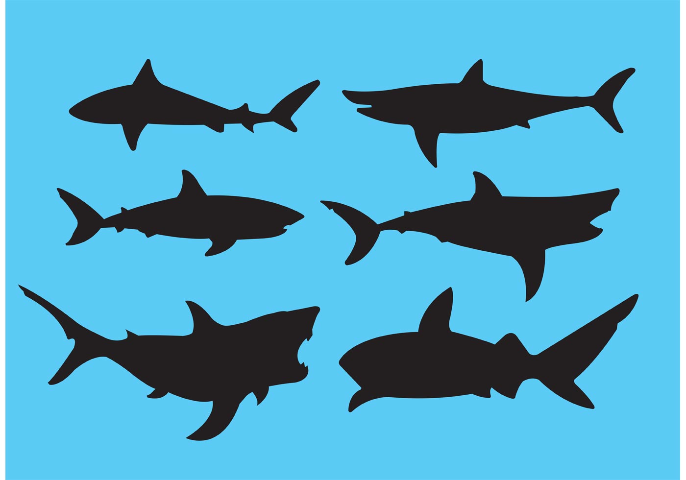 Great white shark 85530 Vector Art at Vecteezy