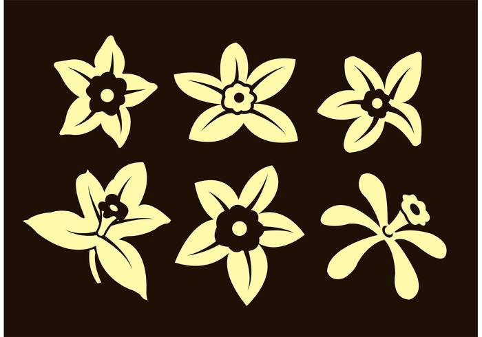 Vanilla Flowers vector