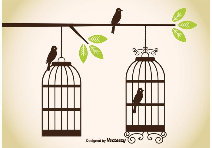 Vintage Birdcage Vectors Vintage Birdcage Vectors
