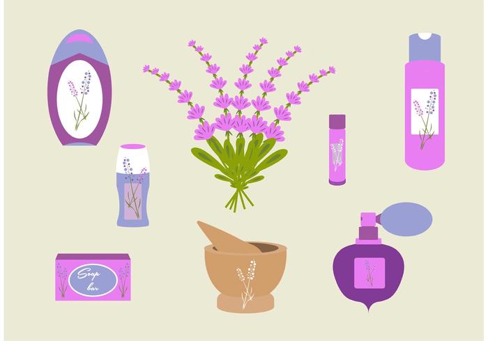 Lavender flower vector