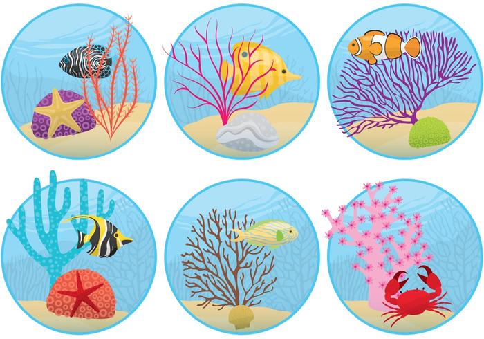 Mini Coral Reefs vector