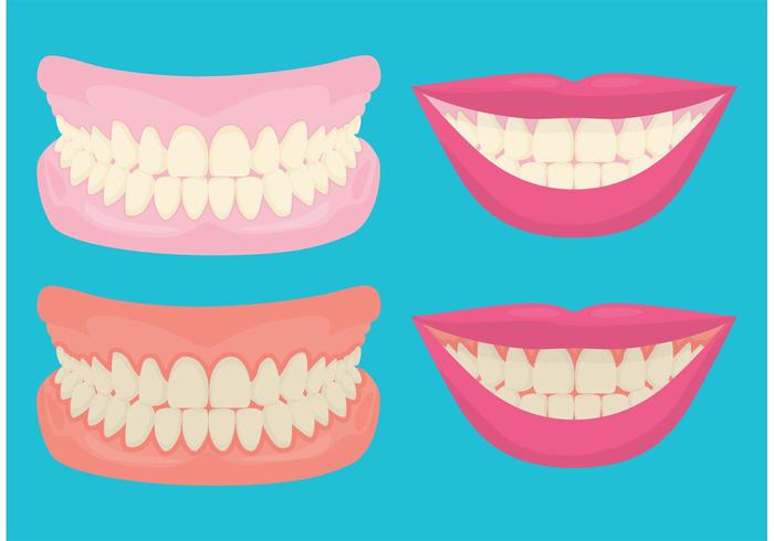 Dientes y gomas sonrientes vector