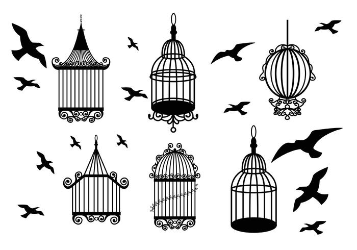 Vintage Bird Cage Vintage Bird Cage