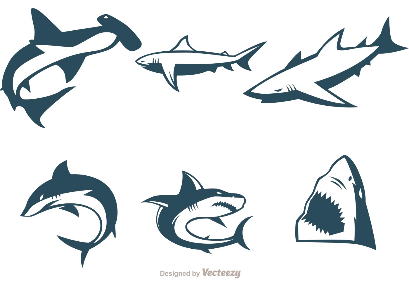 Download Collection Of Shark Vectors 86205 Vector Art at Vecteezy