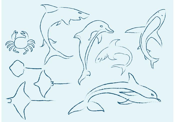 Sea Life Sketches  vector