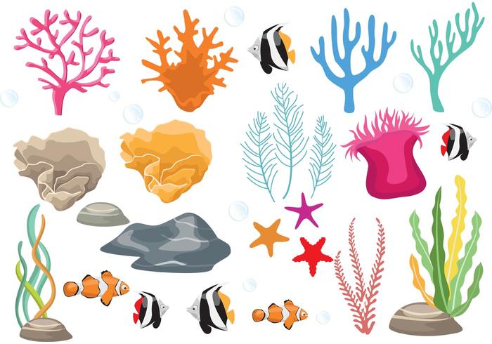 Coral Reef with Fish Vectors