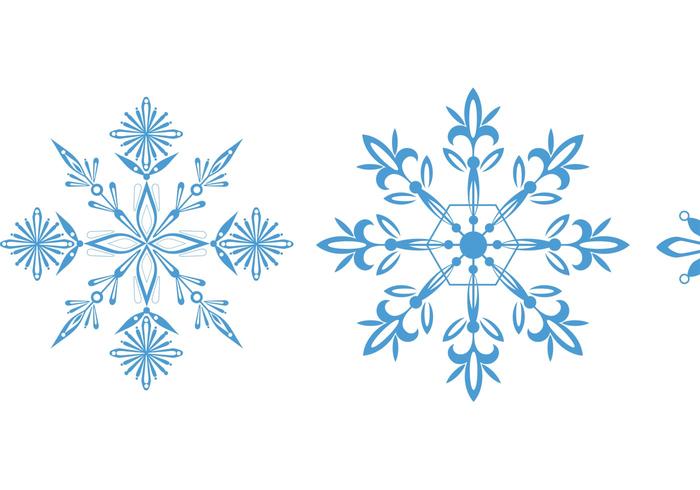 Snowflake Vectors 