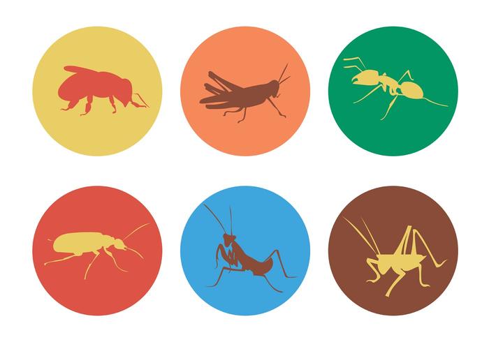 Insectos vectoriales vector