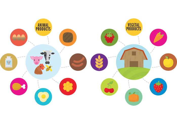 Farm Infographic Vectors