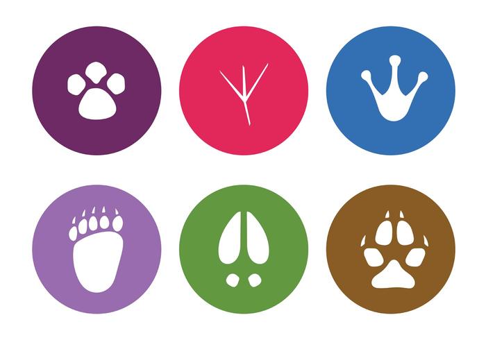 Vector Animal Footprints