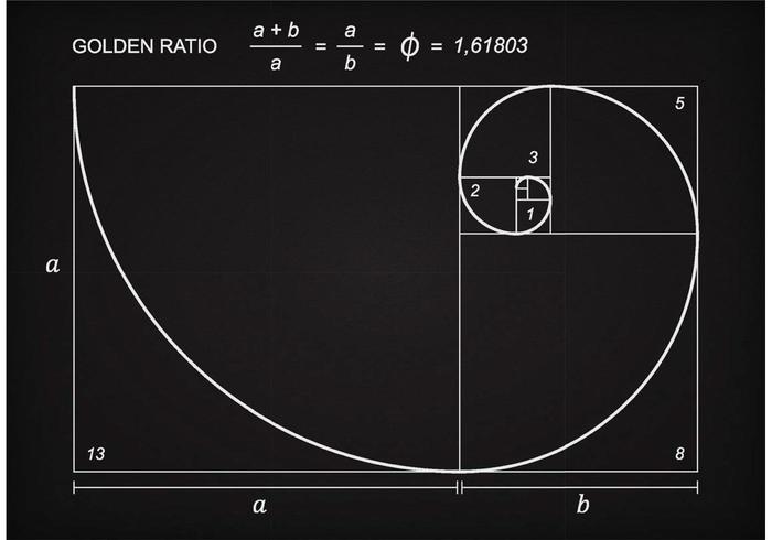 Vector libre del esquema de la proporción de oro