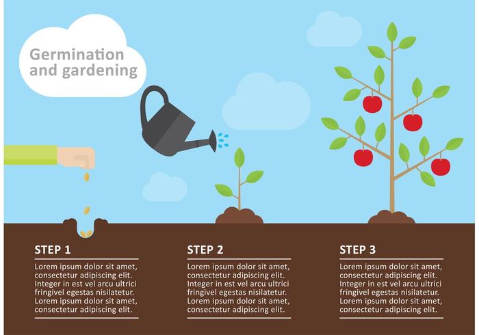 Vector de infografía de jardinería