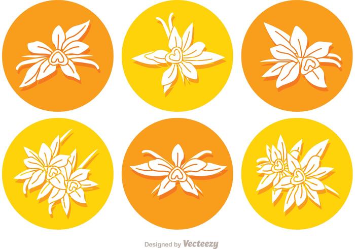 Vanilla Flower Round Icon Vectors