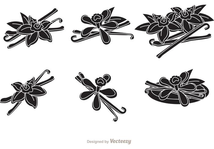 Vanilla Flower Silhouette Vectors