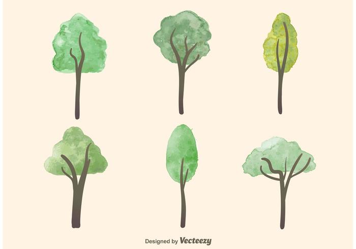 Watercolor Tree Vectors