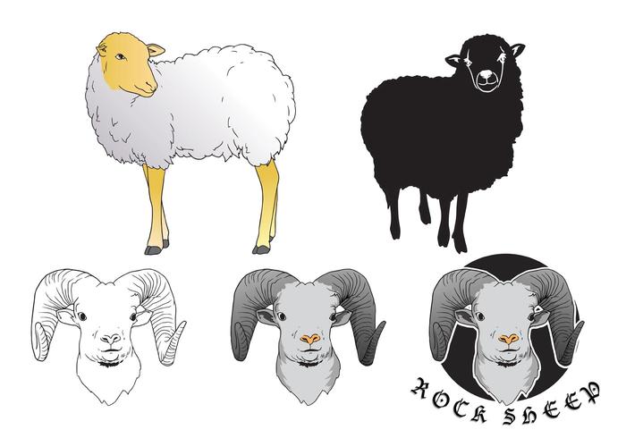 Sheep Isolated Vectors 