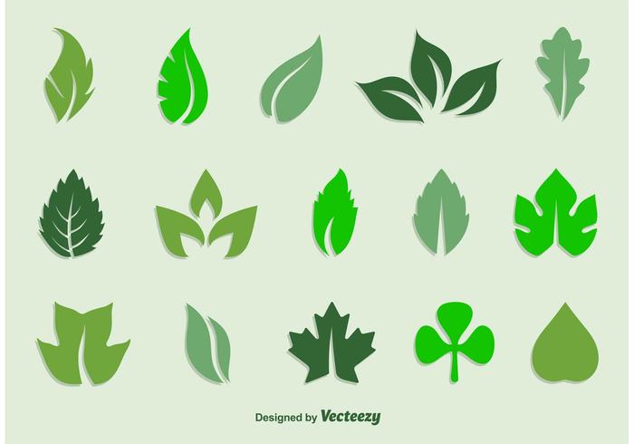 Leaves Vector Icon Set