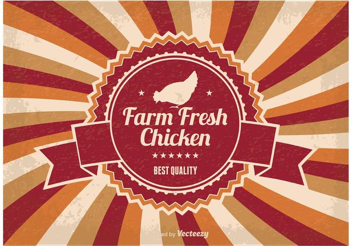 Farm Fresh Chicken Illustration vector