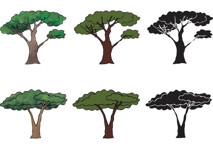 Serie libre del vector del árbol del acacia