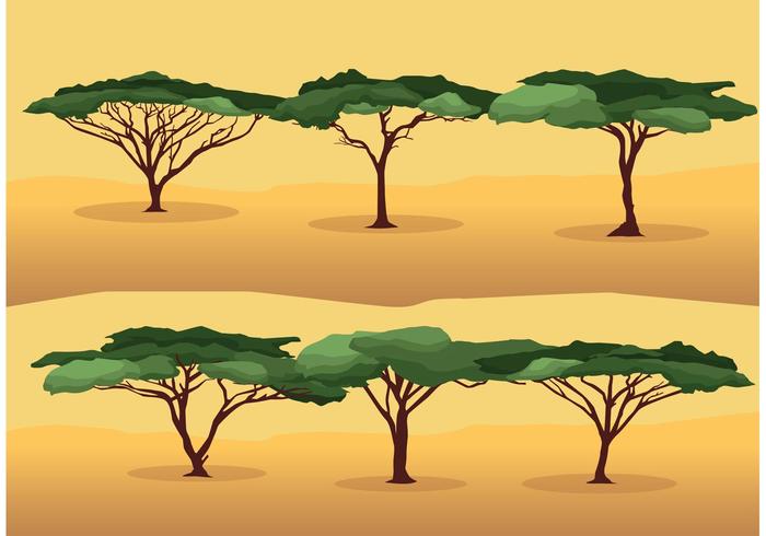 Acacia Tree Vectors