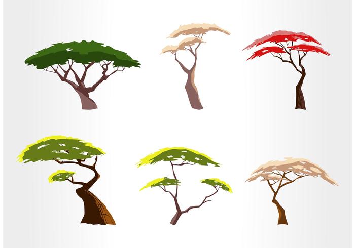 Free Acacia Tree Vector Set