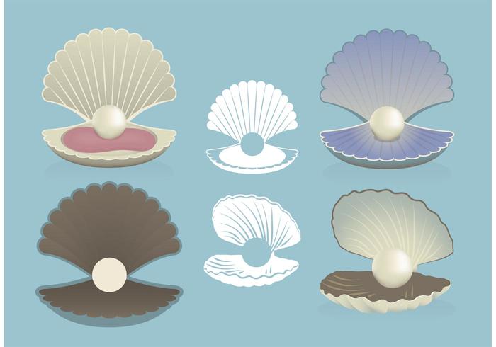 Pearl Shell Vectores Gratis