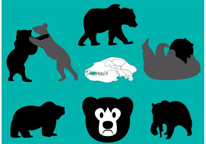 Californian Bear Vectors 