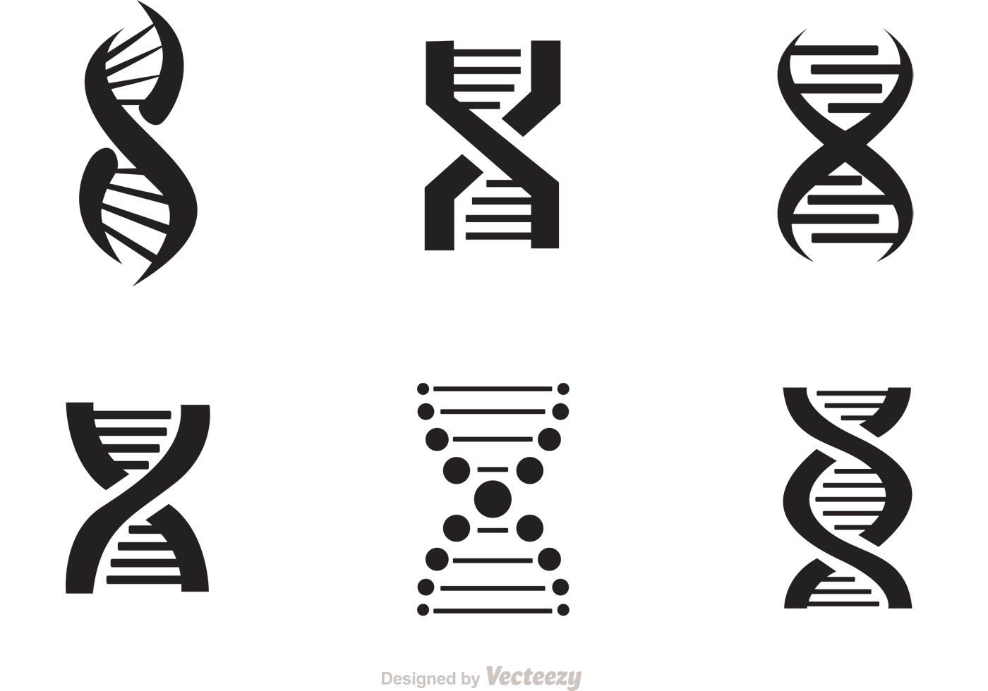 Set Of Doble Helix Icons Vector 88742 Vector Art At Vecteezy set-of-doble-helix-icons-vector-88742-vector-art-at-vecteezy