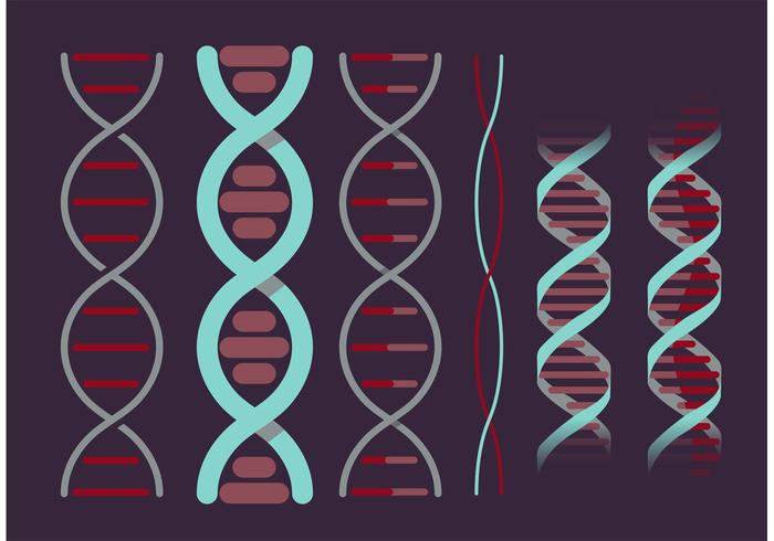 Double Helix Vector Set