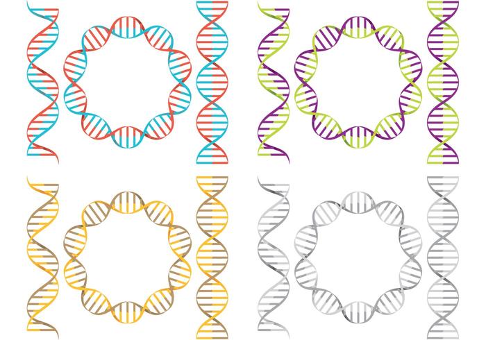 Double Helix Vectors 