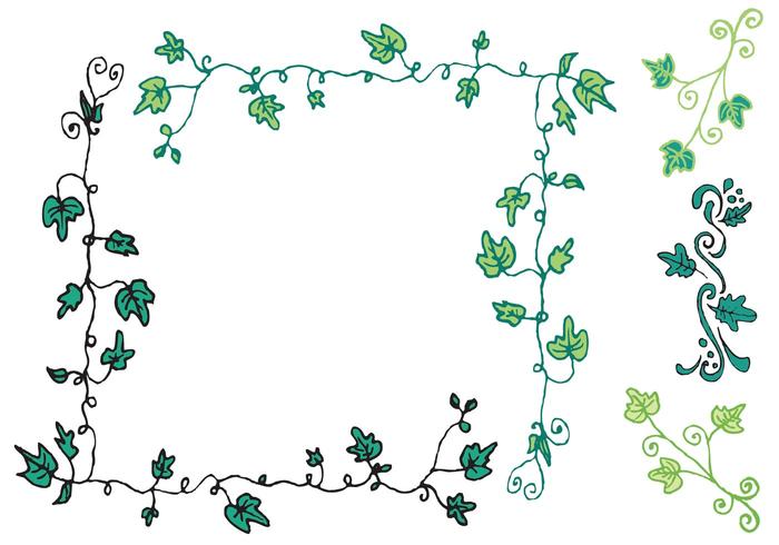 Free Ivy Vine Vector Series