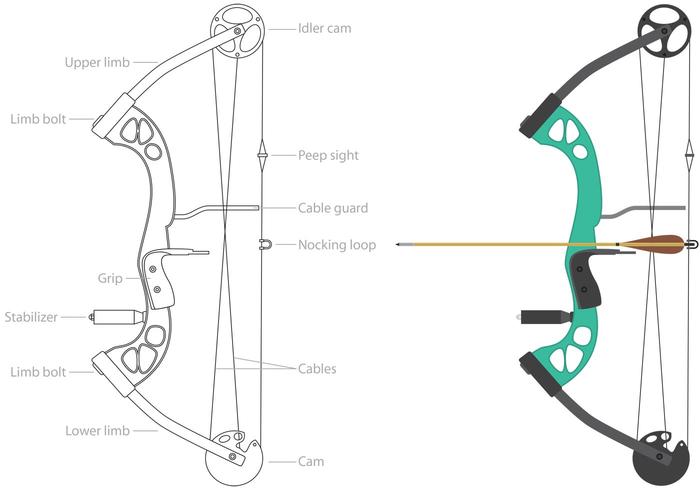 Sport Compound Bow Vectors 