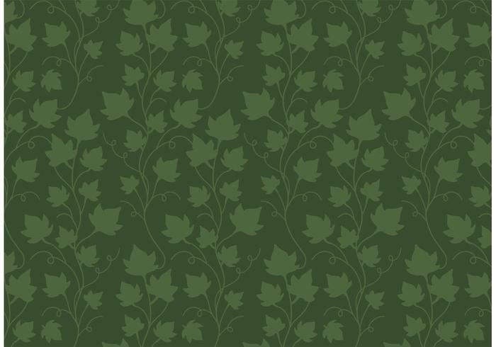 Ivy Vine Pattern Free Vector