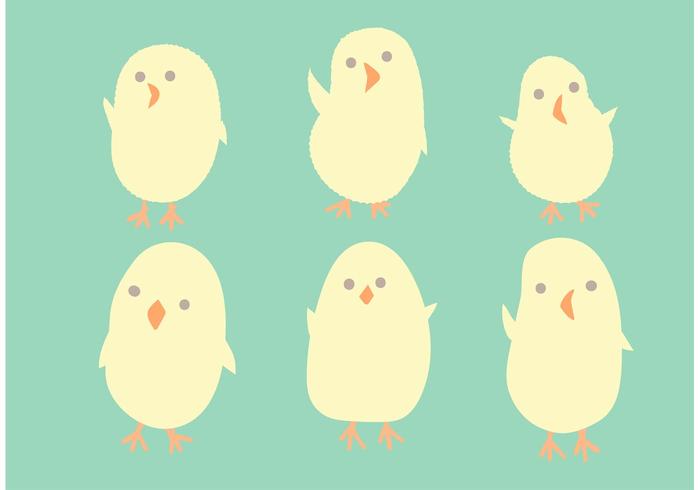 Easter Chicks Vectores gratis