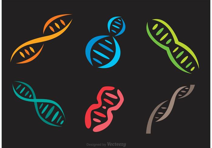 Colorful Doble Helix Icons Vector Colorful Doble Helix Icons Vector